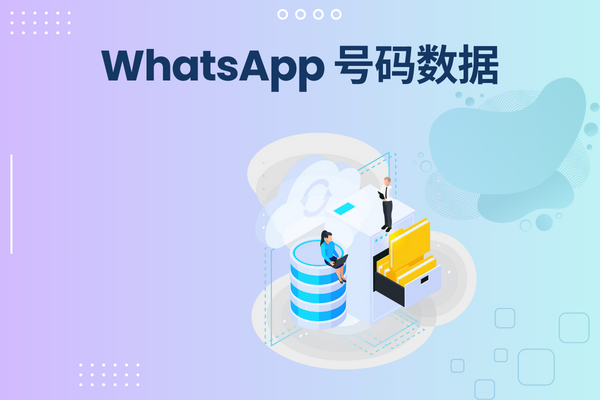 WhatsApp 号码数据